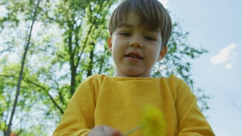 Little boy playing with a dandelion Stock Footage 100002993