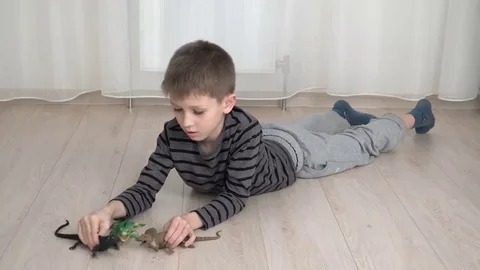 Little boy playing with dinosaurs Stock Footage 69217406