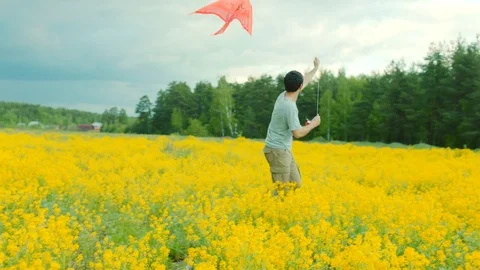 Little boy is playing flying kite with his uncle at flowering field Stock Footage 78896104