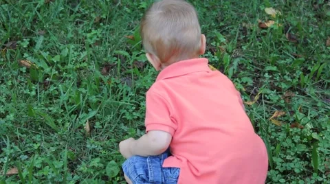 Little boy playing in the grass Stock Footage 44445785
