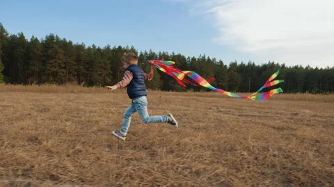 Little boy playing with a kite running on the meadow Stock Footage 166383816