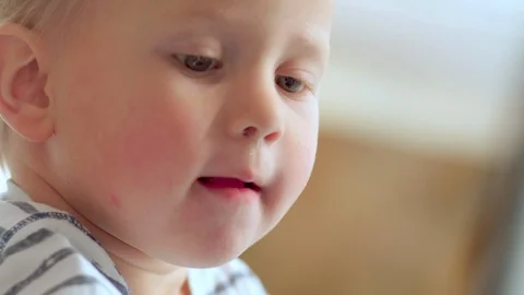 Little Boy Playing on Laptop Video stock 101037310