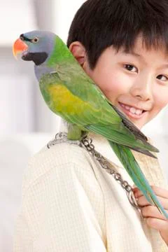 Little boy playing with a pet parrot Foto stock