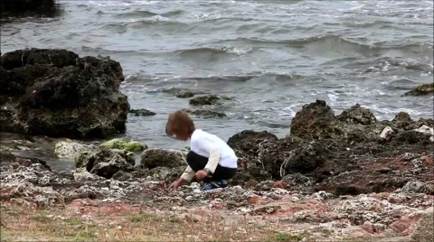 Little boy playing on rocks on beach Stock Footage 41699698