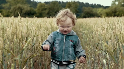 Little boy playing in wheet Stock Footage 133811869