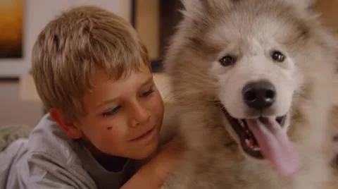 Little boy plays with a dog in front of the fireplace 2 Stock Footage 44448533