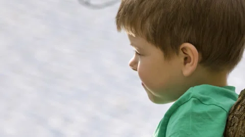 Little boy portrait Stock Footage 37787697