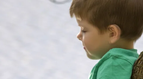 Little boy portrait Stock Footage 37787707