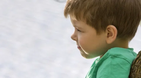 Little boy portrait Stock Footage 37787714