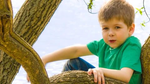 Little boy portrait Stock Footage 37787790