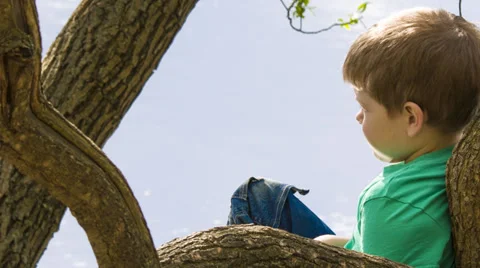 Little boy portrait Stock Footage 37787861