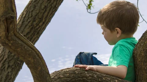 Little boy portrait Stock Footage 37788115