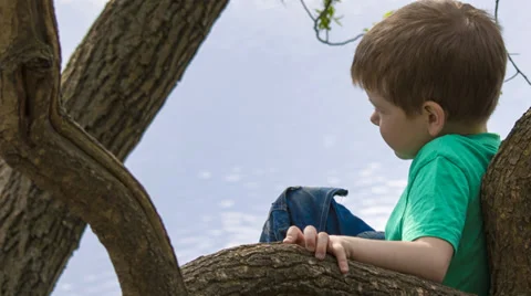 Little boy portrait Stock Footage 37788128