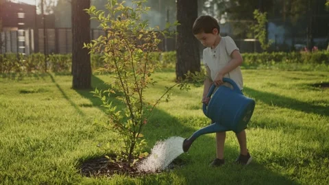 Little boy pouring on plant using watering can Stock Footage 248209779