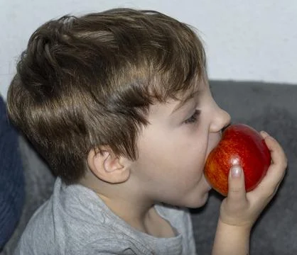 A little boy in profile eats a large red apple with gusto. Stock Photos