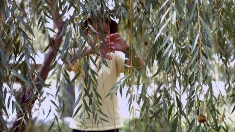 Little Boy Pulls Back Branches Of Tree, Explores Tree and Saying Wow Stock Footage 116090007