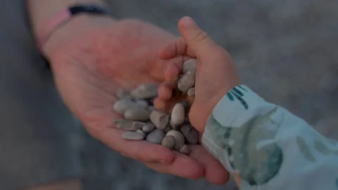 Little boy puts pebbles into hand of mother playing on beach Stock Footage 196688552
