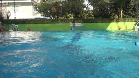 Little boy relaxing training lesson in swimming pool summer time Stockbeeldmateriaal 74617552