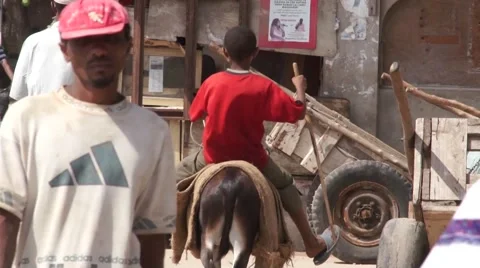 Little boy riding a donkey down the street on the Lamu Island, Kenya 库存影片 47190787