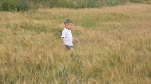 A little boy is running across the field Stock Footage