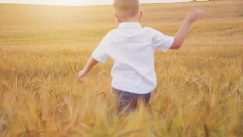 Little boy running around the field at sunset Stock Footage