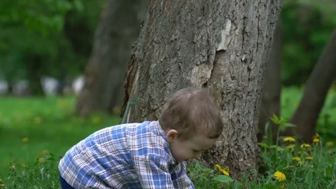 Little boy running around on the grass in the park. Stock Footage 79732218