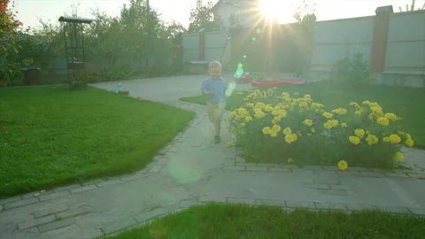 Little boy running on the backyard lawn at sunset Stock Footage 75190994