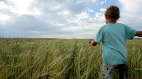 Little boy running in the field of rye Stock Footage 27081622