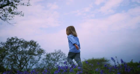 Little boy running in a meadow Stock Footage 134818324