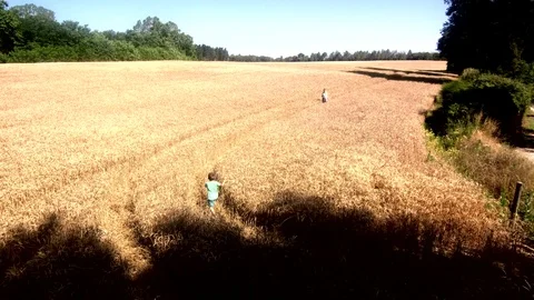 Little boy running through the wheat field to hug his mother Stock Footage 91808817