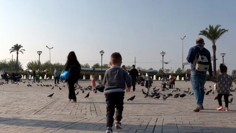 Little boy running towards pigeons Stock Footage
