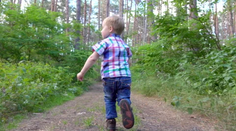 Little boy runs through the pine trees Stock Footage 64235088