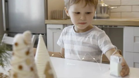 A little boy is setting at table with Christmas decotations and branch of tre Stock Footage 164577429