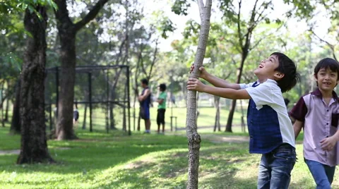 Little boy shake the small tree to keep balloon Stock Footage 47221080