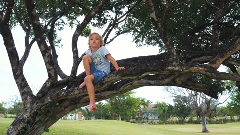 Little boy sits on a tree branches and looks into the distance Stock Footage 130978065