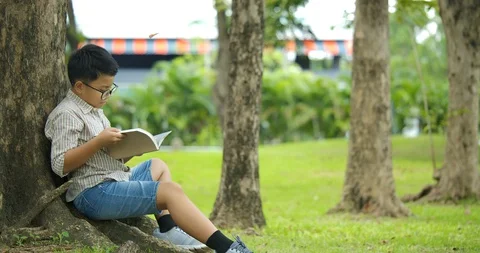 Little boy in sits under the tree on a sunny day and reads a book. Video stock 99325126