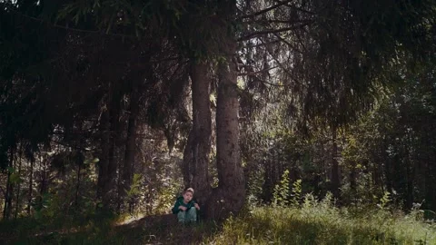 Little boy sits under a tree in the woods Stock Footage 136097231