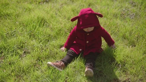 The little boy sitting on the grass Stock Footage 87096969