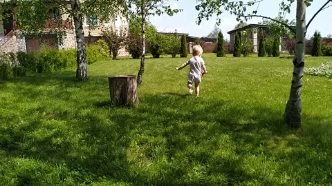 Little boy in slow motion running away barefoot along the grass between birches Stock Footage 133501474