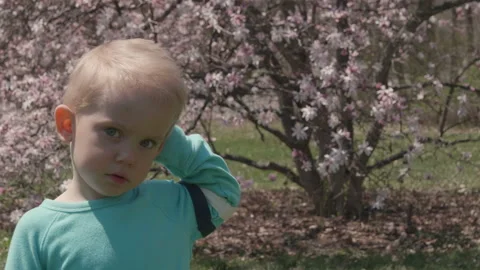 Little boy is smiling and looking at camera,  magnolia blossom, pale pink flower 動画素材 107075771