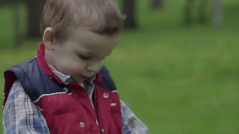 Little boy sniffs a dandelion Stock Footage 75798990