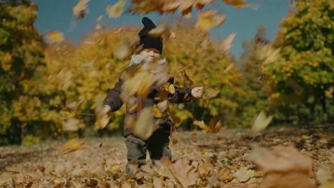 Little boy stands under the leaf fall in the yellow autumn park on a sunny day Видео 165596841