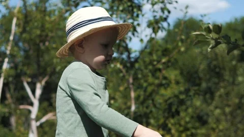  A little boy in a straw hat and sunglasses walks and waters flowers Stock Footage 280340049