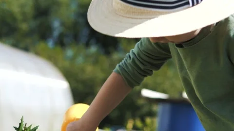 Little boy in a straw hat and sunglasses walking and playing in the garden Stock Footage 280340082