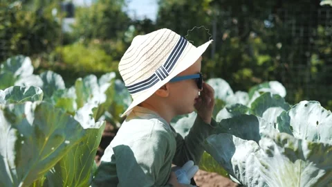 Little boy in a straw hat and sunglasses walking and playing in the garden Stock Footage 280340083