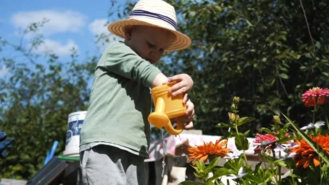  A little boy in a straw hat and sunglasses walks and waters flowers Stock Footage 280340119