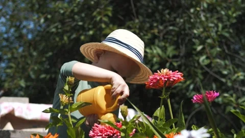 Little boy in a straw hat and sunglasses walking and playing in the garden Stock Footage 280340153
