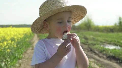 Little boy in a straw hat, eats a waffle in a yellow field Stock Footage 130873972