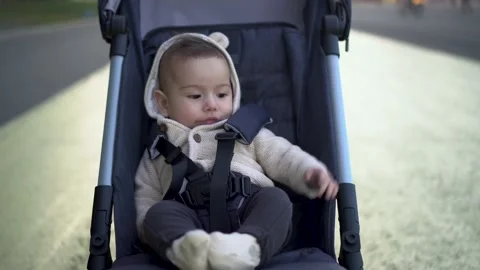A little boy in a stroller rides through the park. A parent carries his son and Stock Footage 206892628