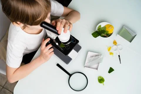 A little boy studies plants in a microscope, back to school, schoolboy, ecology Stock Photos